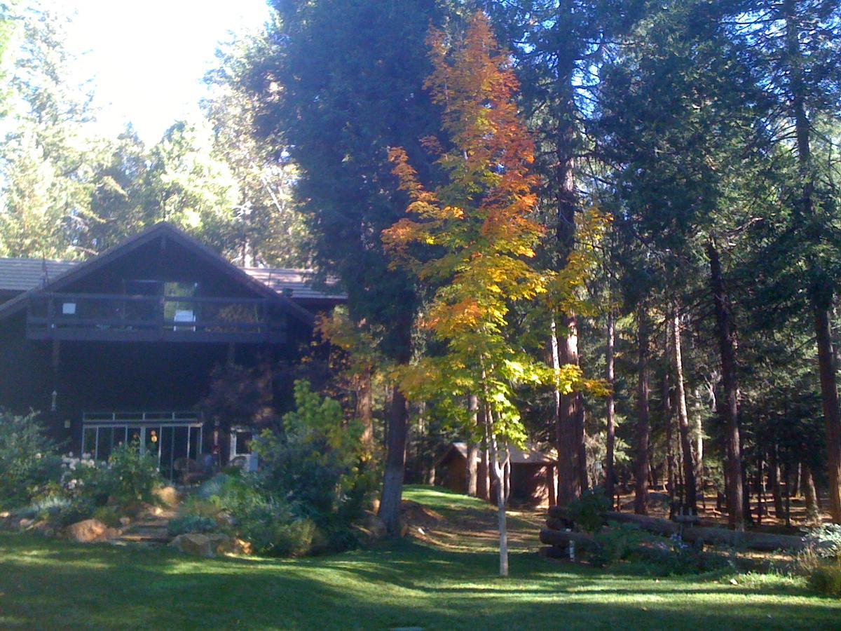 Harmony Ridge Lodge Nevada City Exterior foto