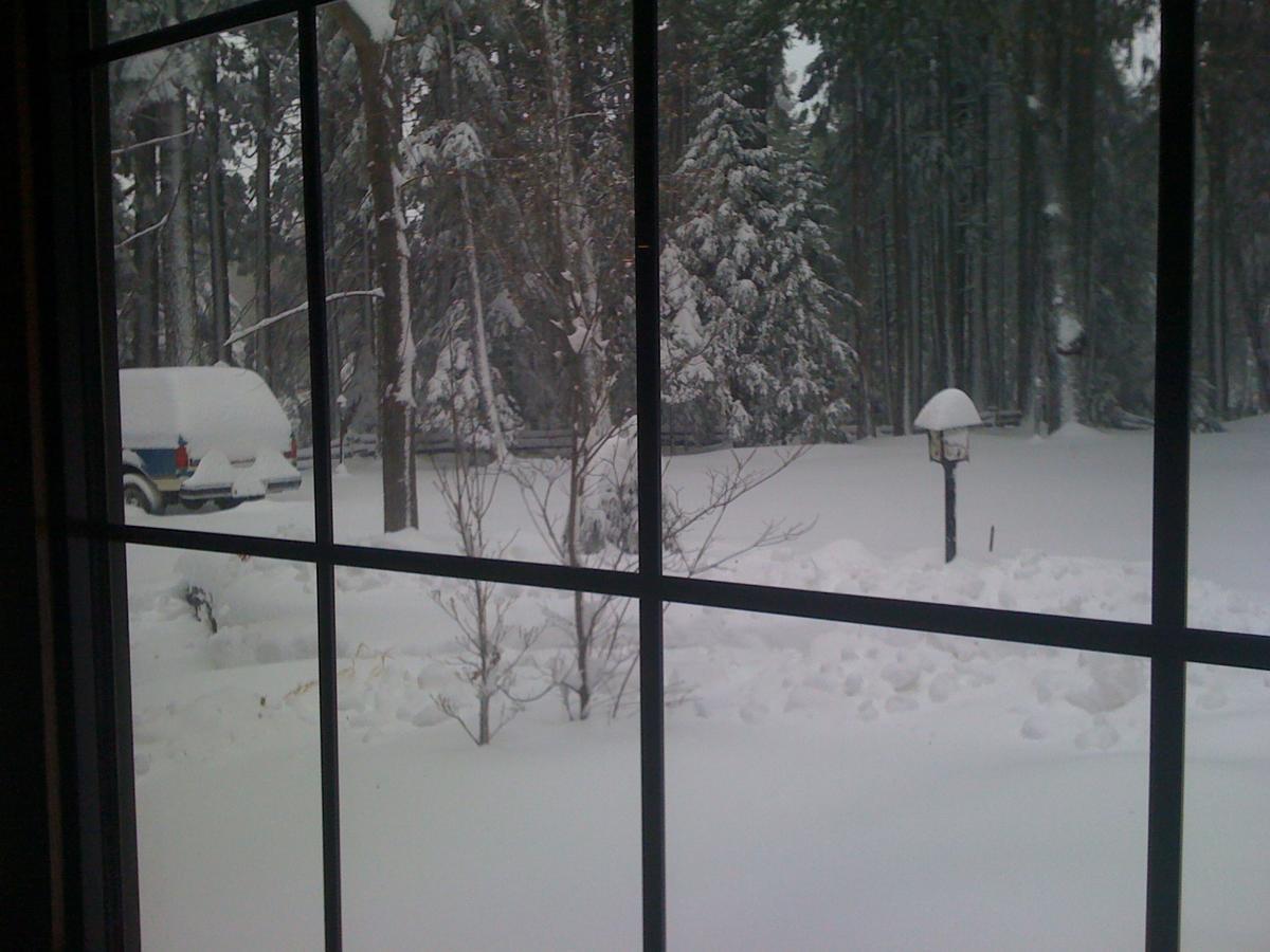 Harmony Ridge Lodge Nevada City Exterior foto