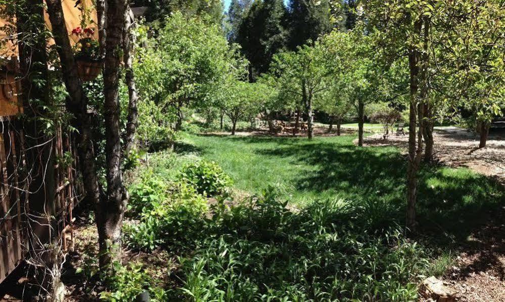 Harmony Ridge Lodge Nevada City Exterior foto